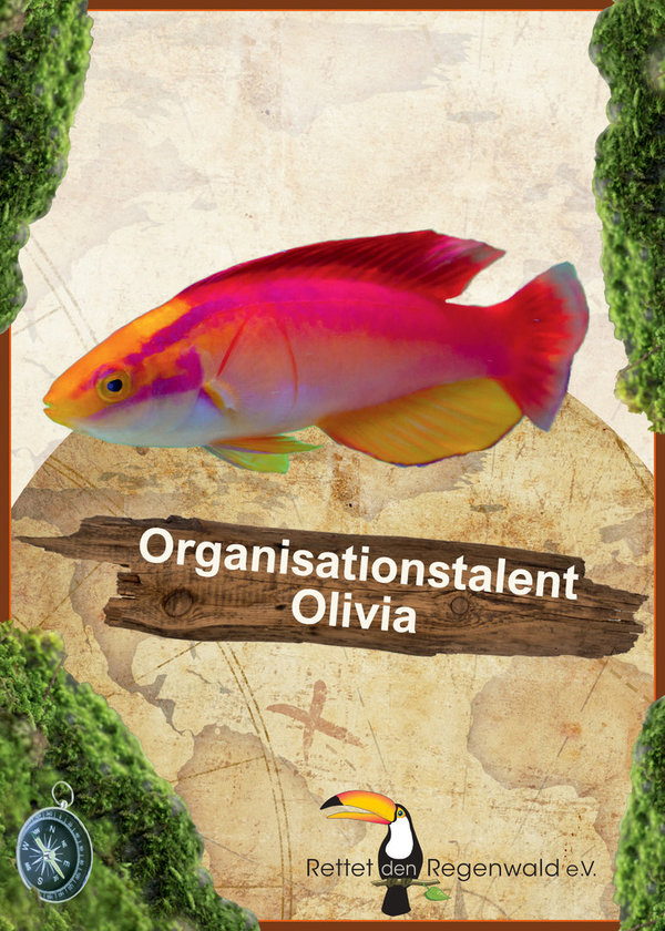 Opal 4f Regenwald  11205 Organisatio